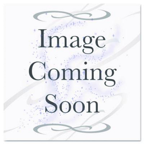 IRIS File Storage Durable Plastic Crate, 13.88 x 17.13 x 10.5, Clear (270011200308)