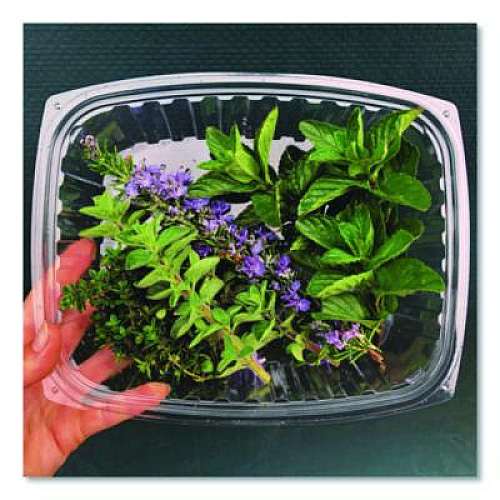 Eco-Products Renewable and Compostable Rectangular Deli Containers with Lid, 24 oz, 4 x 5.5 x 2, Clear, Plastic, 50/Pack, 4 Packs/Carton (EPRC24)