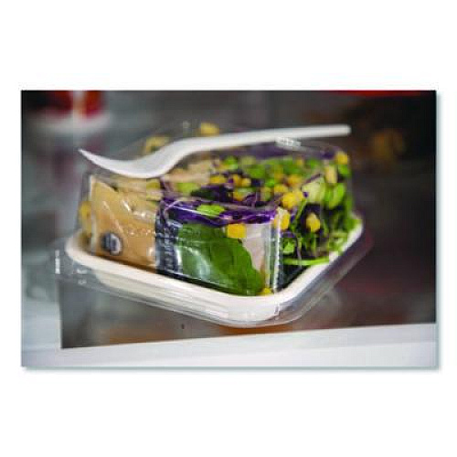 Eco-Products WorldView Renewable Molded Fiber Containers, 10 oz, 5.04 x 5.04 x 1.09, White, 800/Carton (EPSCS5)