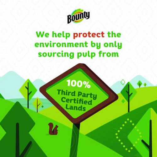 Bounty Essentials Select-A-Size Kitchen Roll Paper Towels, 2-Ply, 108 Sheets/Roll, 12 Rolls/Carton (11093)