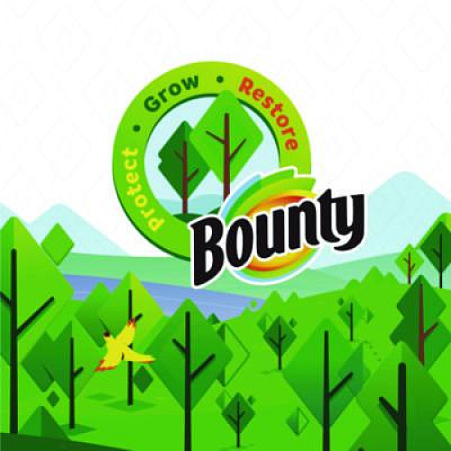 Bounty Essentials Select-A-Size Kitchen Roll Paper Towels, 2-Ply, 108 Sheets/Roll, 12 Rolls/Carton (11093)