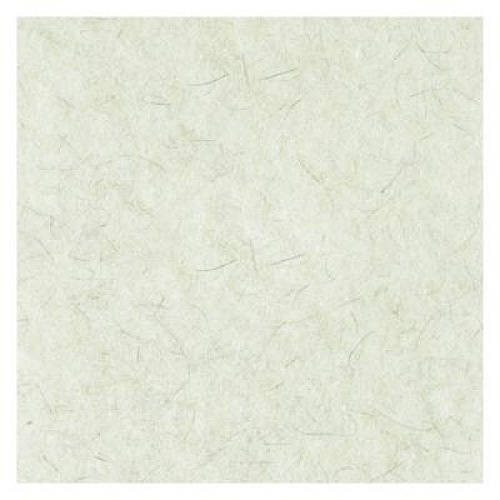 Boardwalk Natural Burnishing Floor Pads, 21" Diameter, White, 5/Carton (4021NAT)