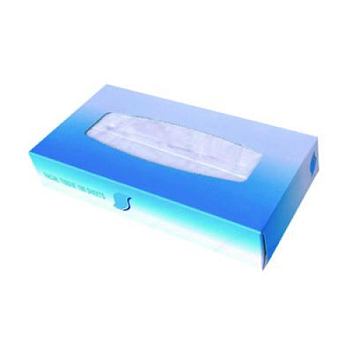 GEN Facial Tissue, Flat Box, 2-Ply, White, 100 Sheets/Box, 30 Boxes/Carton (6501)