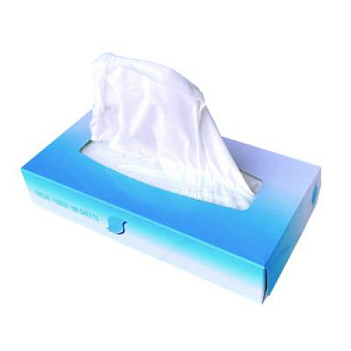 GEN Facial Tissue, Flat Box, 2-Ply, White, 100 Sheets/Box, 30 Boxes/Carton (6501)