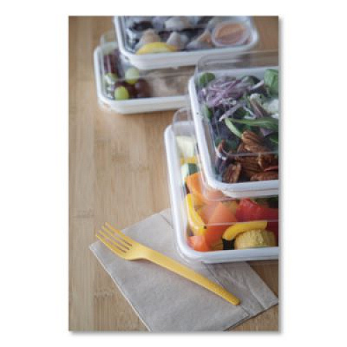 Eco-Products Renewable and Compostable Lids, 8.8 x 8.8 x 1.64, Clear, Plastic, 200/Carton (EPSCS9SLID)