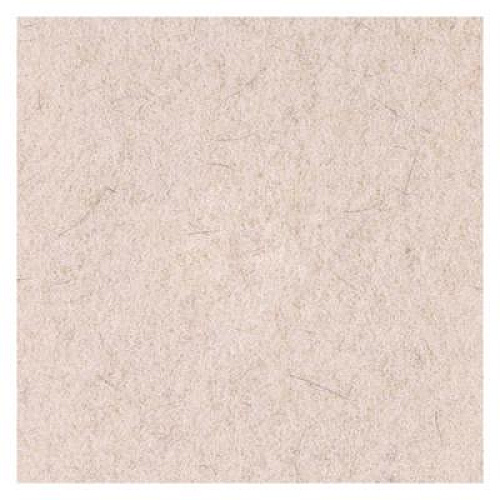 Boardwalk Natural Hog Hair Burnishing Floor Pads, 19" Diameter, Tan, 5/Carton (4019NHE)