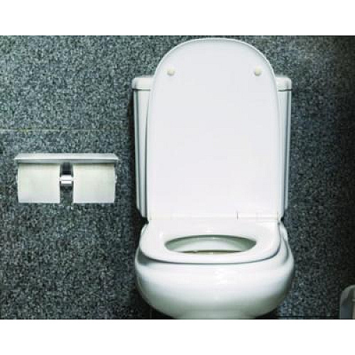 Alpine Industries Double Post Toilet Paper Holder with Shelf Storage Rack, 3.87 x 10.5 x 3.95, Brushed Stainless Steel (ALP487B)