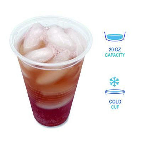 Boardwalk Translucent Plastic Cold Cups, 20 oz, Clear, 1,000/Carton (TRANSCUP20CT)