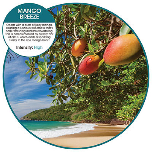 Fresh Products Fusion Metered Aerosols, Mango Breeze, 12/Carton (MA12MG)
