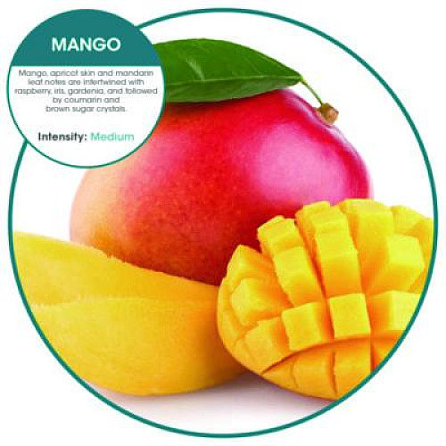 Fresh Products ourfresh Airfreshener, Mango, 8/Box (OFB48MGBX)