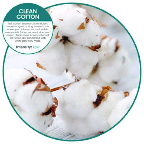Fresh Products ourfreshE Refills, Cotton Blossom, 6/Box (OFE36CBBX)