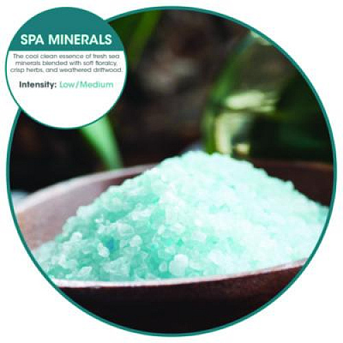 Fresh Products ourfreshE Refills, Spa Minerals, 6/Box (OFE36SMBX)