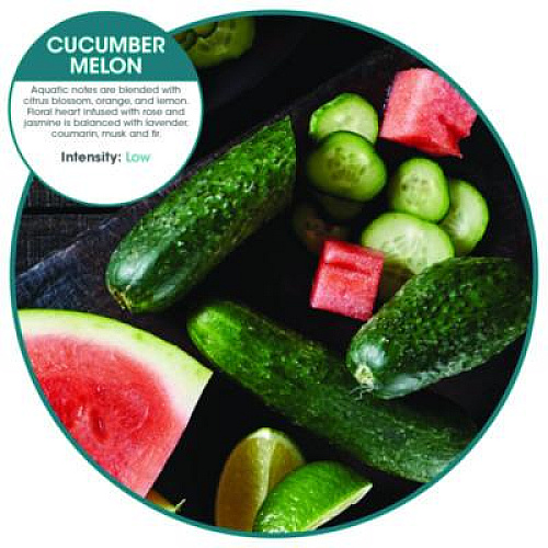 Fresh Products ourfreshE Refills, Cucumber Melon, 6/Box (OFE36CMBX)