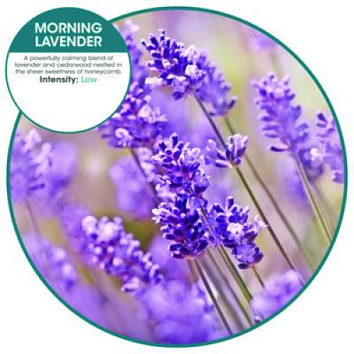 Fresh Products ourfreshE Refills, Morning Lavender, 6/Box (OFE36MLBX)