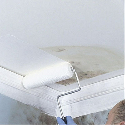 Zinsser Mold Killing Primer, Flat White, 1 qt Bucket/Pail, 4/Carton (276087CT)