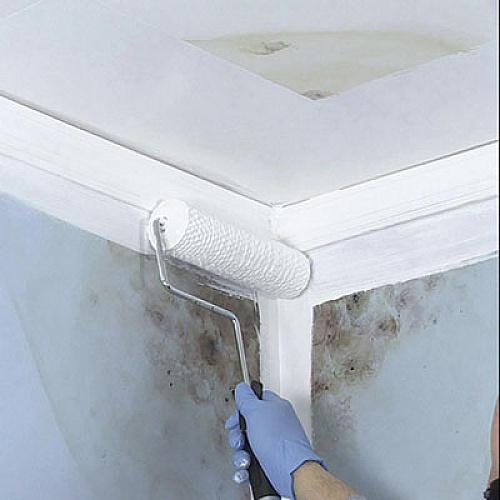 Zinsser Mold Killing Primer, Flat White, 1 qt Bucket/Pail, 4/Carton (276087CT)