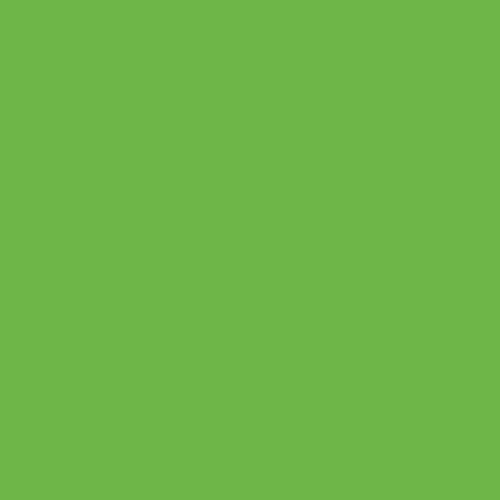 Rust-Oleum Specialty Fluorescent Spray Paint, Flat Fluorescent Green, 11 oz Aerosol Can, 6/Carton (342417)