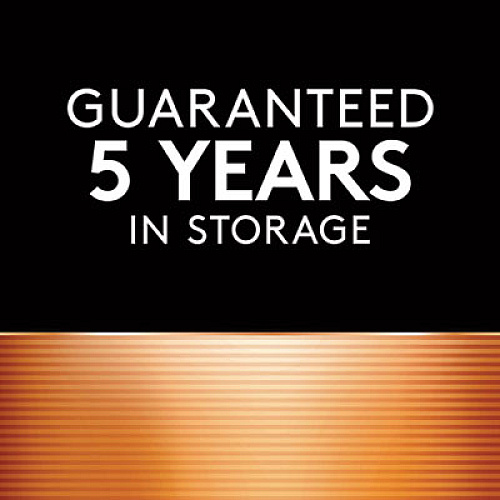 Duracell Specialty Alkaline Batteries, 76A, 1.5 V, 4/Pack (PX76A675B4PK)