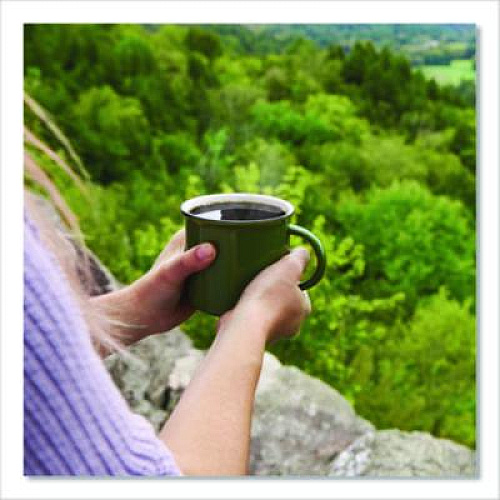 Green Mountain Coffee Colombian Decaf Coffee Fraction Packs, 2.2oz, 50/Carton (5531)