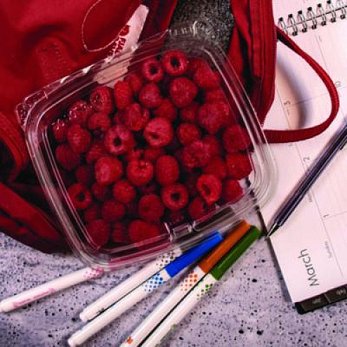 Dart ClearPac SafeSeal rPET Tamper-Resistant/Evident Containers, Embossed Bottom, 24 oz, 6.37 x 7.15 x 1.86, Clear, 200/Carton (CH24DERF)