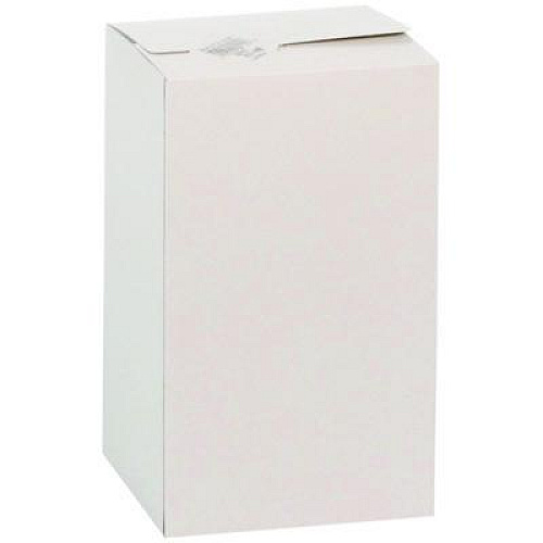 Pactiv Evergreen Giant Paper-Wrapped Straw, 10.25", Polypropylene, Translucent, 1,800/Carton (YSTWG1026)