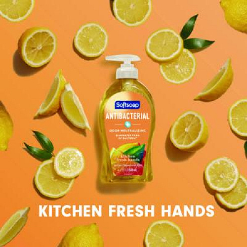 Softsoap Antibacterial Hand Soap, Citrus Scent, 11.25 oz (45096EA)