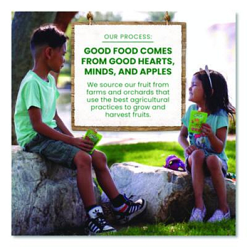 GoGo Squeez Fruit on the Go, (10) Apple/(10) Apple Cinnamon, 3.2 oz Pouch, 20/Box (24331019)