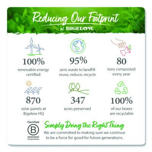 Bigelow Single Flavor Tea, Green, 28 Bags/Box (00388)