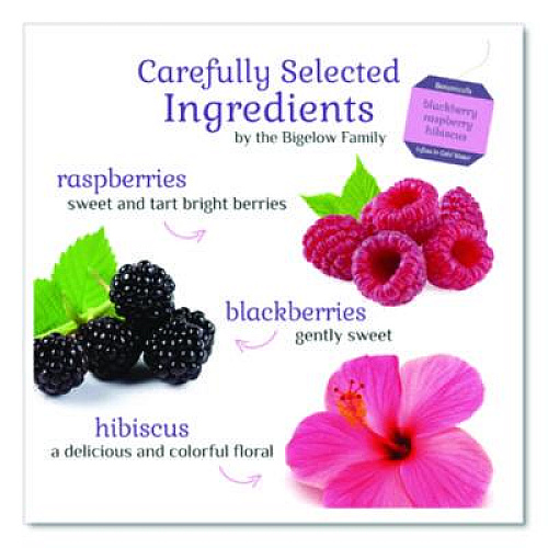 Bigelow Botanicals Blackberry Raspberry Hibiscus Cold Water Herbal Infusion, 0.7 oz Tea Bag, 18/Box (39000)