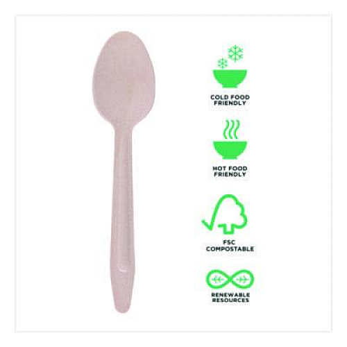 Eco-Products Wood Cutlery, General Purpose Spoon, Natural, 500/Carton (EPS213W)