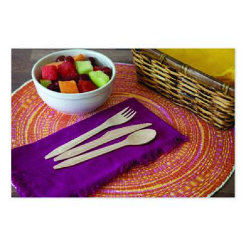 Eco-Products Wood Cutlery, General Purpose Spoon, Natural, 500/Carton (EPS213W)