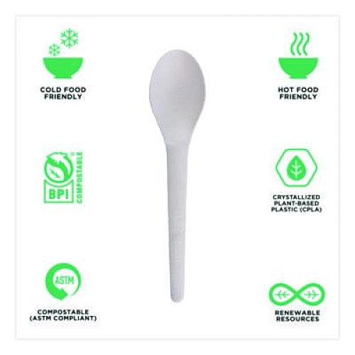 Eco-Products Plantware Compostable Cutlery, Spoon, Plastic, White, 1,000/Carton (EPS013W)