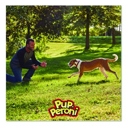 Pup-Peroni Original Beef Flavor Dog Snack Sticks, 8 oz Pouch, 8/Carton (SMU51021CS)