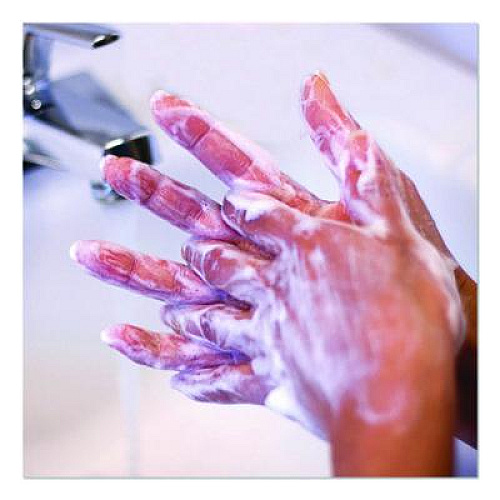 Safeguard Professional Lotion Hand Soap, 1 gal Bottle, 2/Carton (65566)