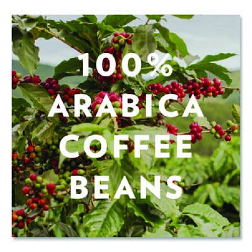 Community Coffee Cafe Special, 2.5 oz Packet, 40/Carton (CCI15104)