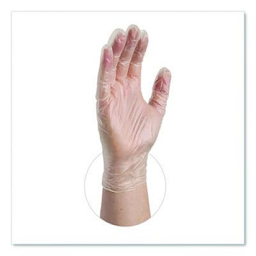 AMMEX Professional Vinyl Exam Gloves, Powder-Free, Large, Clear, 100/Box (VPF66100)