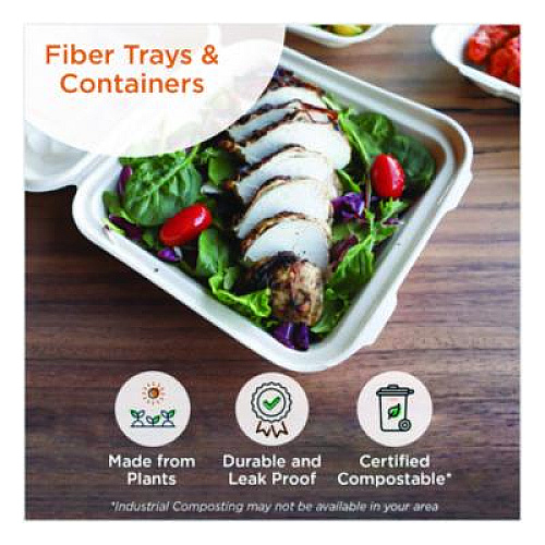 World Centric Fiber Catering Pans, 3 Compartments, 10.3 x 2.8 x 12.8, Paper, Natural, 200/Carton (CASC104TLLF)