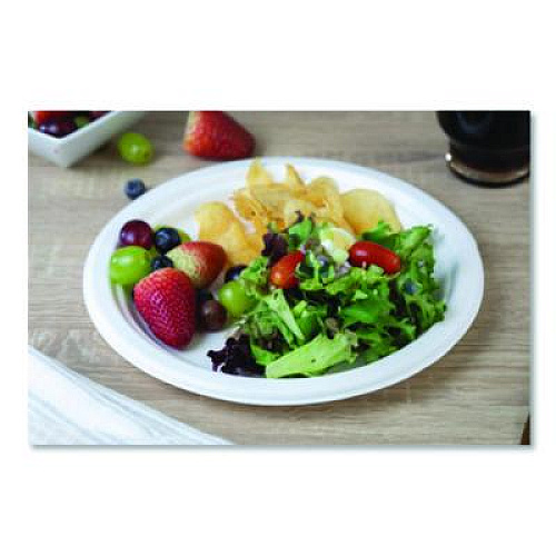 SCT ChampWare Molded Fiber Tableware, Molded Fiber Plate, 10" dia, White, 125 Plates/Sleeve, 4 Sleeves/Carton (18160WPF)