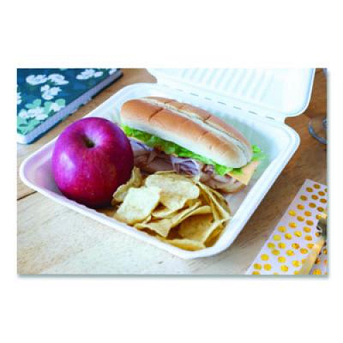 SCT ChampWare Molded-Fiber Clamshell Containers, 9 x 9 x 3, White, 100/Sleeve, 2 Sleeves/Carton (18935WPF)