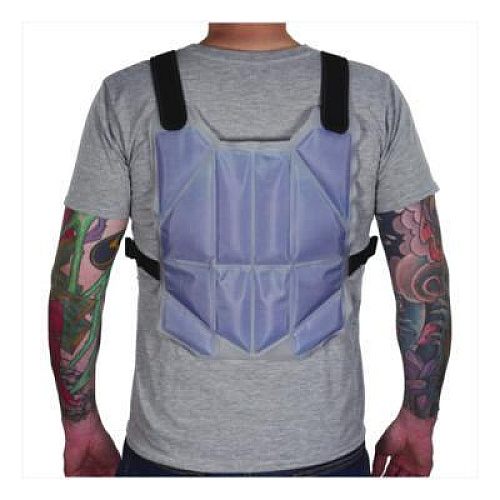 ergodyne Chill-Its 6210 Phase Change Cooling Ice Vest, Nylon/Phase Change, One Size Fits Most, Blue (12222)