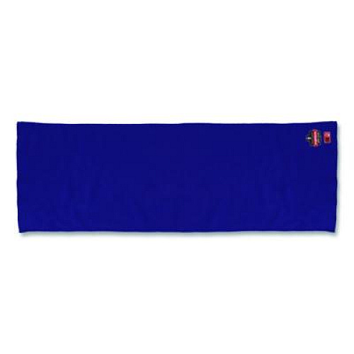 ergodyne Chill-Its 6606FR FR Cooling Towel, Modacrylic Knit, One Size Fits Most, Blue (12437)