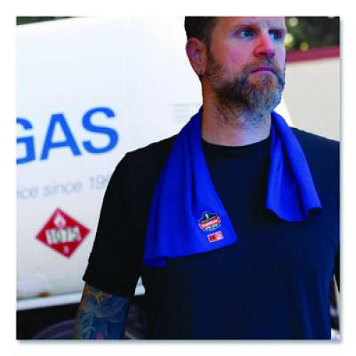 ergodyne Chill-Its 6606FR FR Cooling Towel, Modacrylic Knit, One Size Fits Most, Blue (12437)