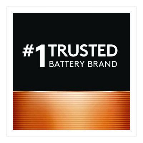 Duracell Power Boost Copper Top Alkaline AA Batteries, 24/Pack (MN1500B240PK)