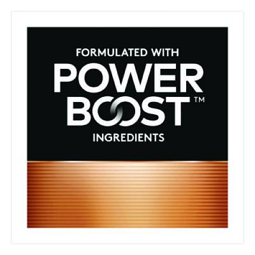 Duracell Power Boost Copper Top Alkaline AA Batteries, 24/Pack (MN1500B240PK)