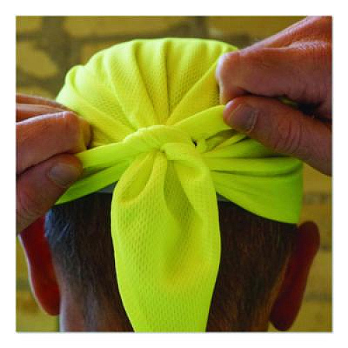 ergodyne Chill-Its 6615 High-Performance Bandana Doo Rag with Terry Cloth Sweatband, One Size Fits Most, Lime (12476)