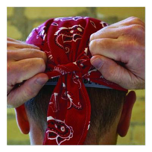 ergodyne Chill-Its 6615 High-Performance Bandana Doo Rag with Terry Cloth Sweatband, One Size Fits Most, Red Western (12479)