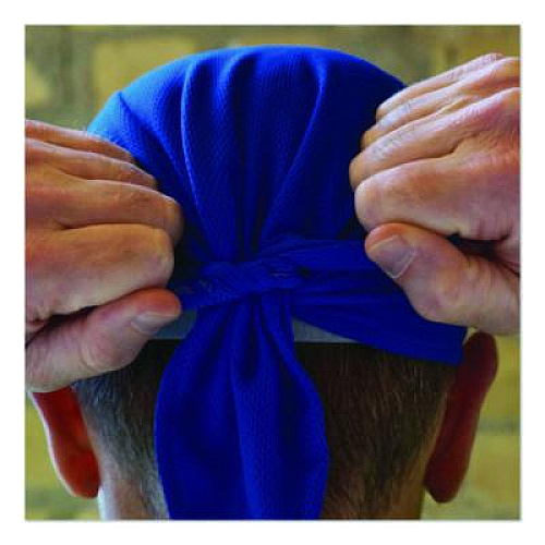 ergodyne Chill-Its 6615 High-Performance Bandana Doo Rag with Terry Cloth Sweatband, One Size Fits Most, Blue (12481)