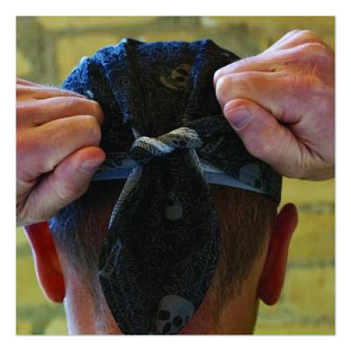 ergodyne Chill-Its 6615 High-Performance Bandana Doo Rag with Terry Cloth Sweatband, One Size Fits Most, Skulls (12519)