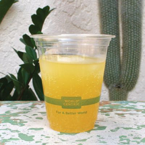 World Centric PLA Clear Cold Cups, 12 oz, Plastic, Clear, 1,000/Carton (CPCS12)