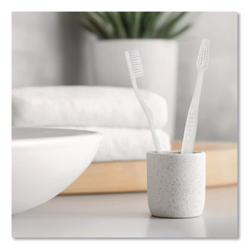 Boardwalk Toothbrush, White, 144/Carton (TBRUSHSF)